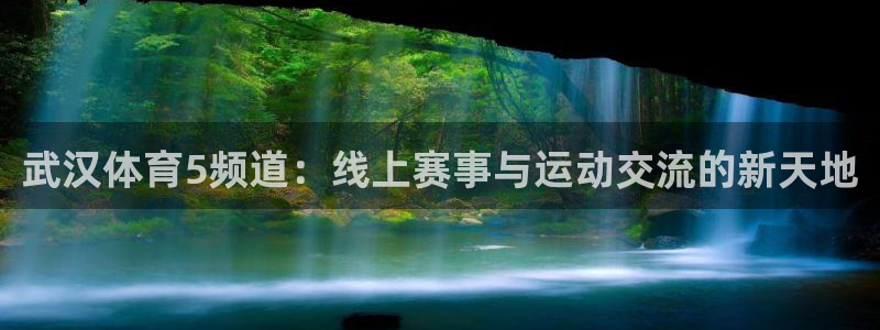 火凤直播体育免费直播：武汉体育5频道：线上赛事与运动交流的新天地
