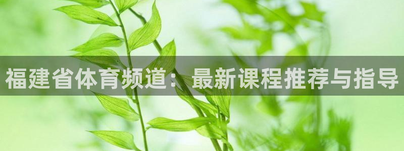 火凤体育nba直播：福建省体育频道：最新课程推荐与指导