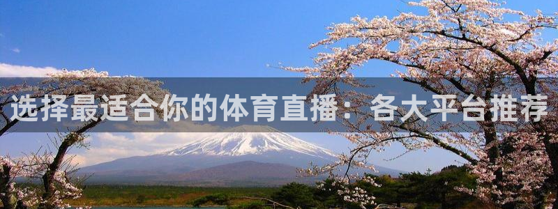 火凤体育直播高清入口：选择最适合你的体育直播：各大平台推荐
