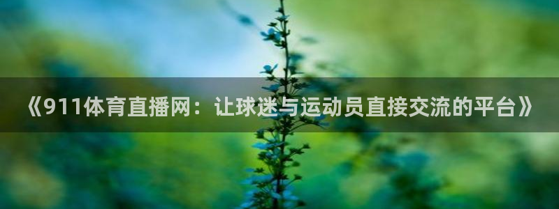 火凤直播：《911体育直播网：让球迷与运动员直接交流的平台》