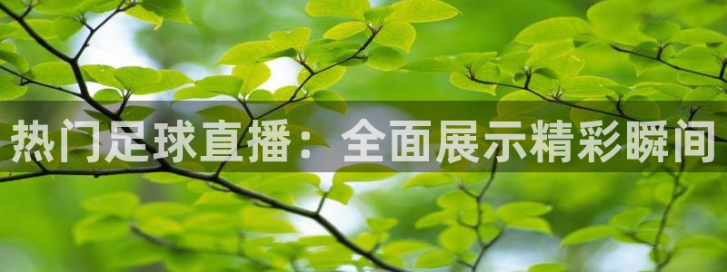 火凤足球直播：热门足球直播：全面展示精彩瞬间