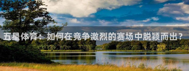 火凤足球直播免费观看全部：五星体育：如何在竞争激烈的赛场中脱颖而出？
