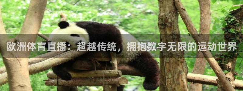 足球直播火凤直播