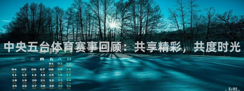 火凤直播体育直播：中央五台体育赛事回顾：共享精彩，共度时光