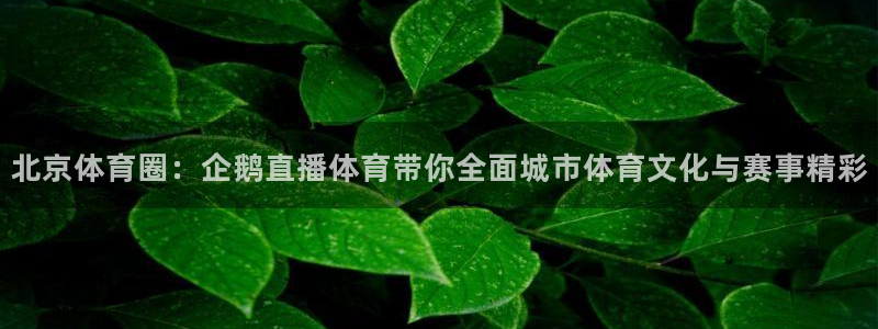 火凤足球直播免费观看全部：北京体育圈：企鹅直播体育带你全面城市体育文化与赛事精彩