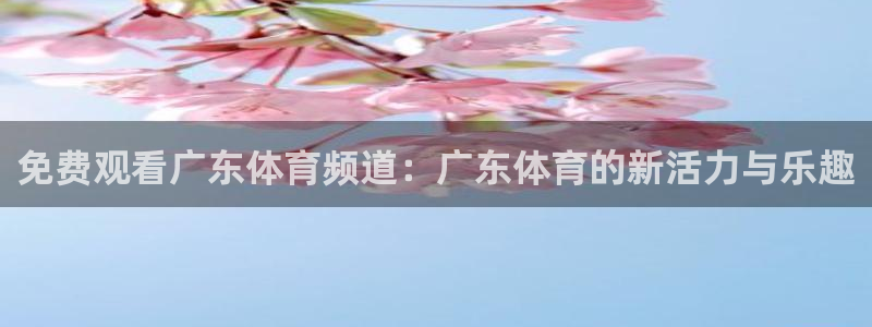 nba直播火凤直播：免费观看广东体育频道：广东体育的新活力与乐趣